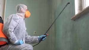 Reliable Stevensville, MT Mold Removal Solutions